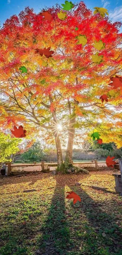 Autumn tree with vibrant red and yellow leaves under a blue sky.