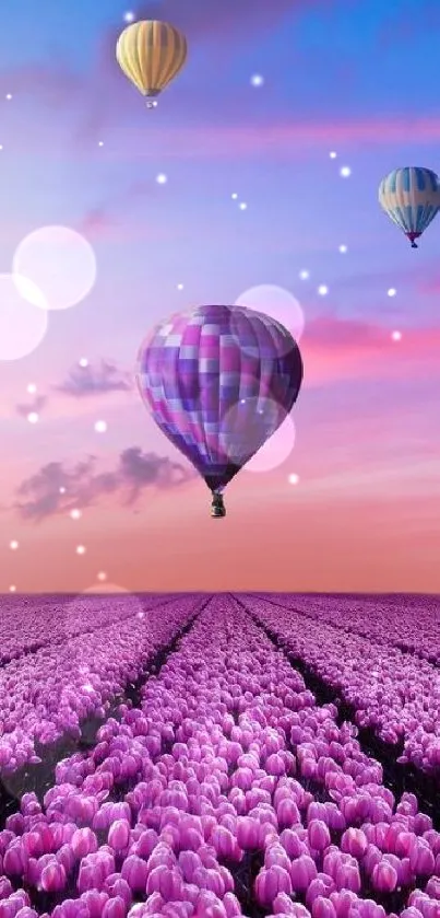 Hot air balloons over purple tulip field at sunset.