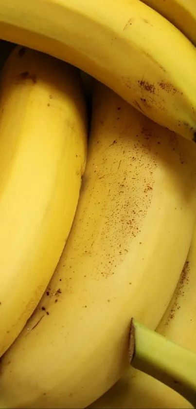 Vibrant bananas clustered together in a bright, fresh mobile wallpaper.