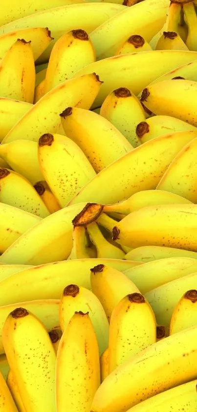 Bright yellow bananas fill the wallpaper.