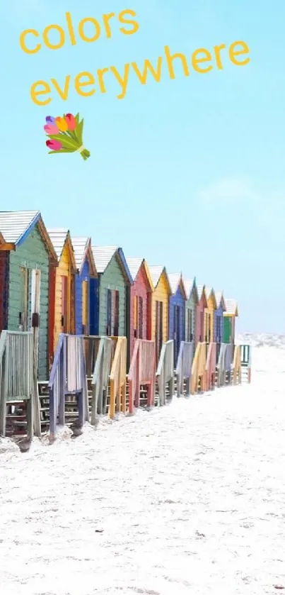 Colorful beach huts on a sunny, white sandy beach.