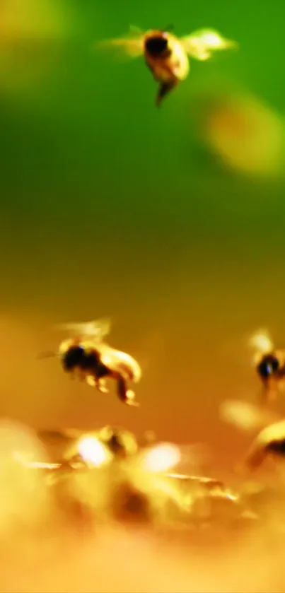 Vibrant wallpaper of bees flying with a green-yellow background.