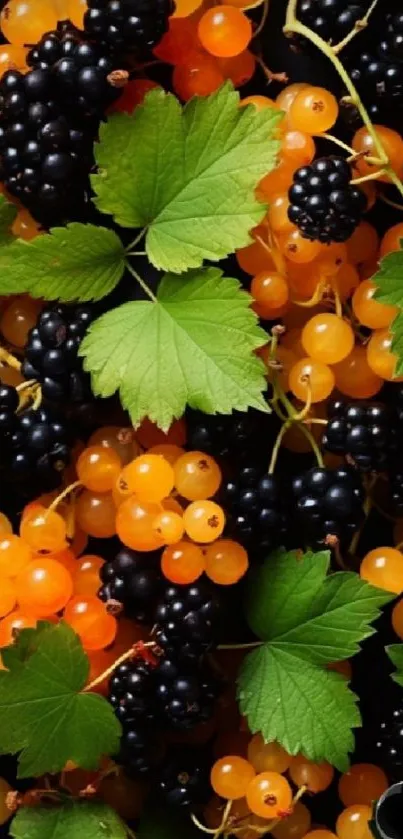 Vibrant wallpaper with blackberries, golden berries, and green leaves.