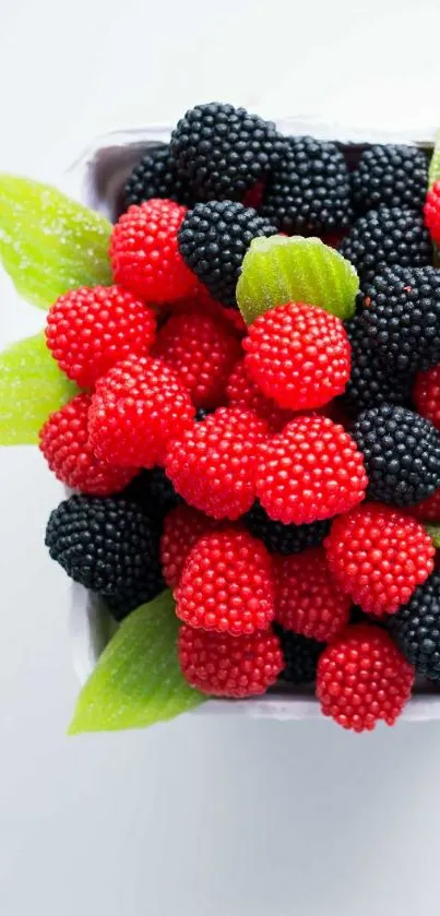 Colorful red and black candy berries with green leaves on a white background.