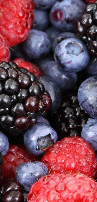 Vibrant wallpaper featuring raspberries and blackberries.