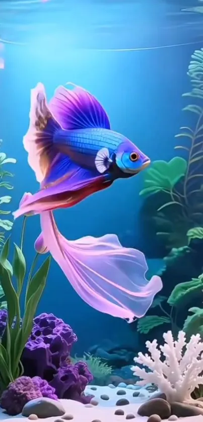 Colorful betta fish swimming in a vibrant aquarium with lush plants.