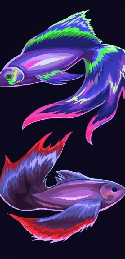 Vibrant colorful Betta fish wallpaper art with intricate details.