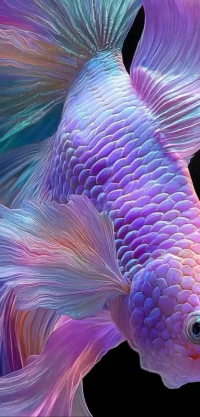 A vibrant Betta fish showcasing purple and blue hues with intricate fin details.