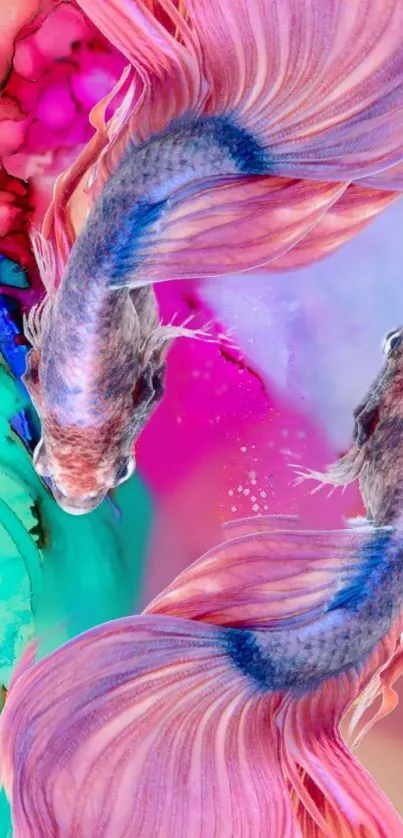 Vibrant pink and blue betta fish in artistic mobile wallpaper.