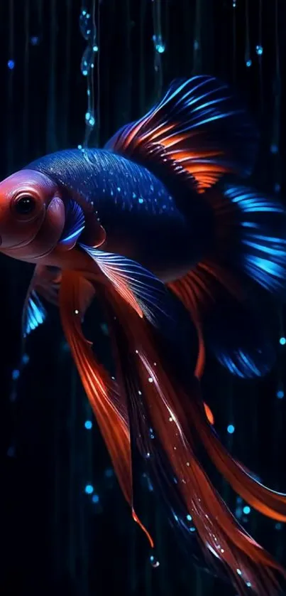A vibrant betta fish with flowing fins against a dark aquatic background.