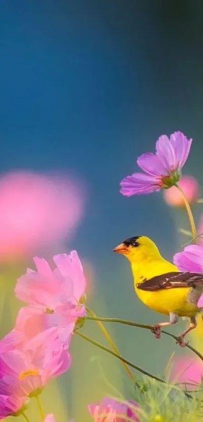 Colorful bird among pink flowers on a blue background.