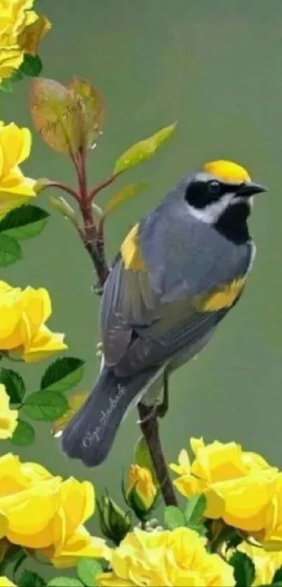 Gray bird with yellow flowers mobile wallpaper.