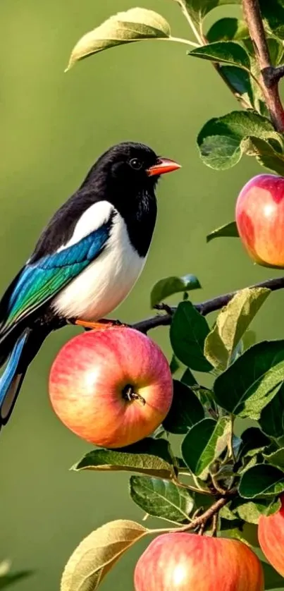 Vibrant bird perched on apple tree branch with lush foliage.