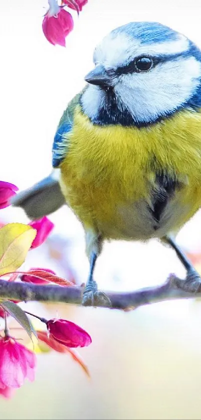 Colorful bird perched on a branch with vibrant blossoms.