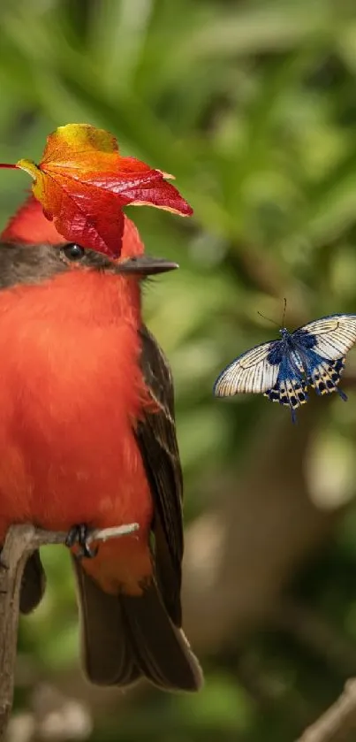 Vibrant red bird and butterfly on a green background in nature.