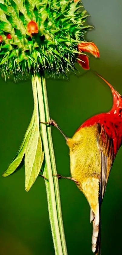 A colorful bird perched on a bright green flower stem.