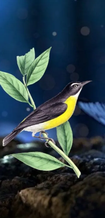 Colorful bird on branch with leaves and blue background.