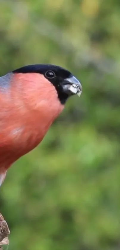 Vibrant bird perched on branch in lush green background.