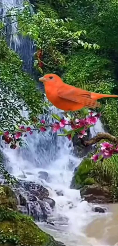 Orange bird perched on flowering branch near waterfall.