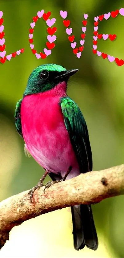 Colorful bird with 'LOVE' inscription in a nature setting.