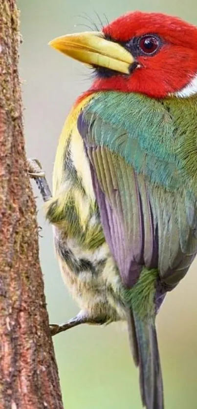 Vibrant bird perched on a tree with colorful plumage.