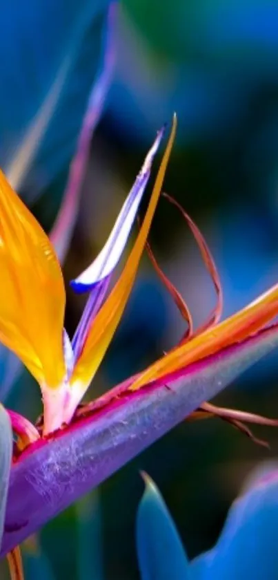 Vibrant Bird of Paradise flower on mobile wallpaper in vivid colors.