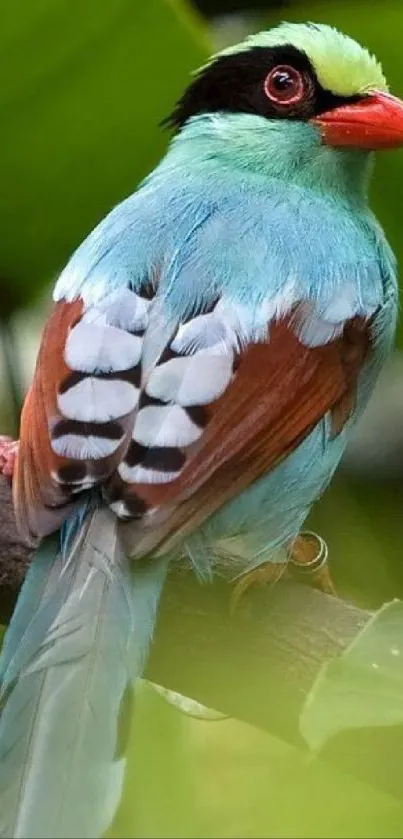 Colorful bird perched on a branch against lush green background.