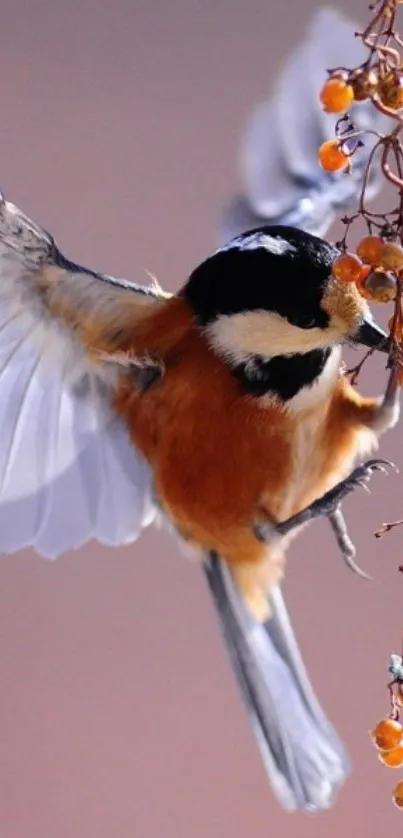 Vibrant bird perched on a branch with berries, perfect mobile wallpaper for nature lovers.