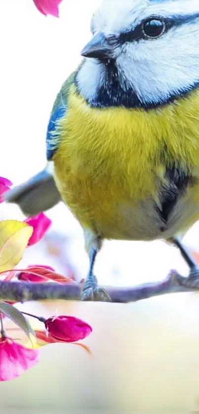 Vibrant bird perched on blooming branch with vivid colors.