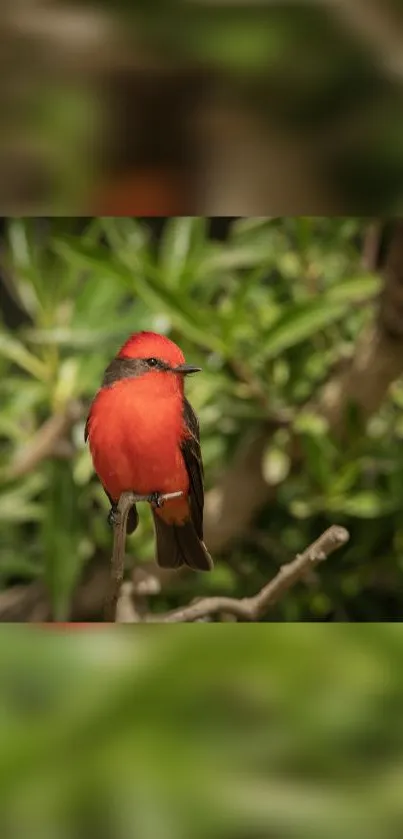 Colorful bird perched on a branch in lush greenery.