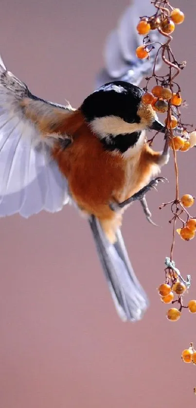 A colorful bird perched on a branch with orange berries.