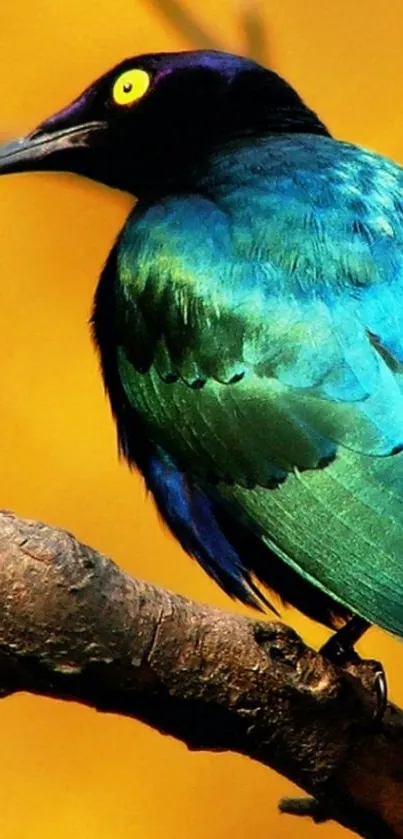 Vibrant colorful bird on branch with yellow background