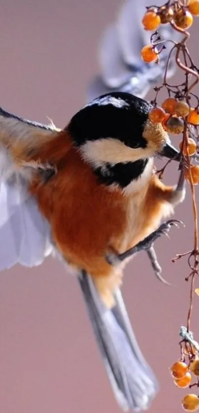 Bird on branch with orange berries, vivid colors.