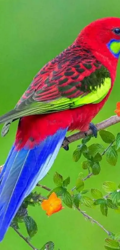 Vibrant parrot perched on branch with vivid colors.