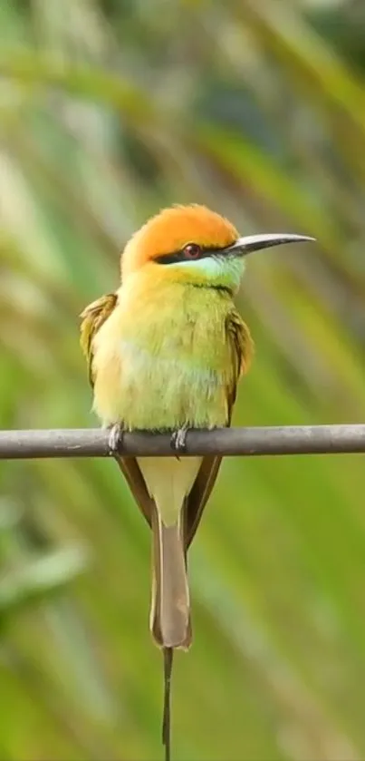 Colorful bird on a branch with lush greenery.