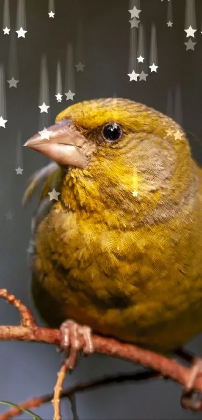 Yellow bird perched on a branch with a soft-focus background.