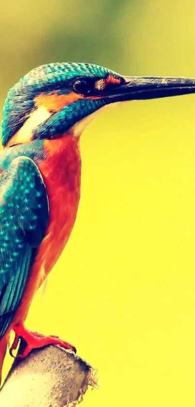 Vivid bird perched on branch against a yellow background.