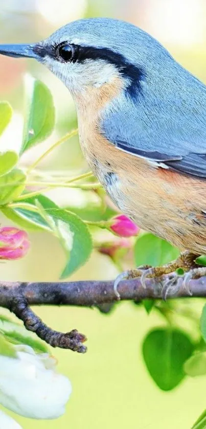 Colorful bird perched on blooming branch, vibrant mobile wallpaper.