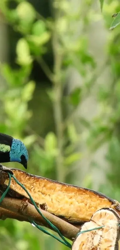 Teal bird perched on a green branch in a vibrant nature scene.