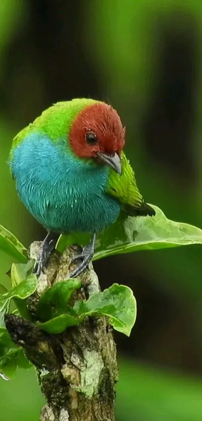 Colorful bird perched on a green branch in lush scenery.