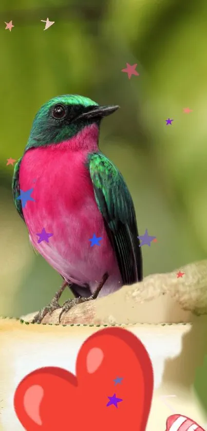 Colorful bird perched on a branch with a vibrant pink and green design.