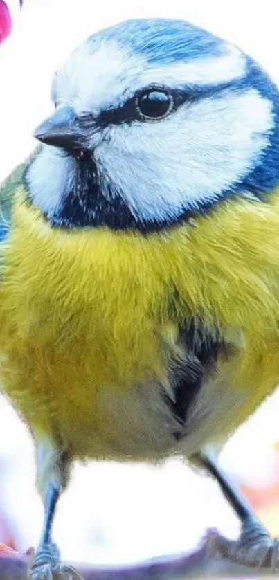 Vibrant bird perched on blooming branch.