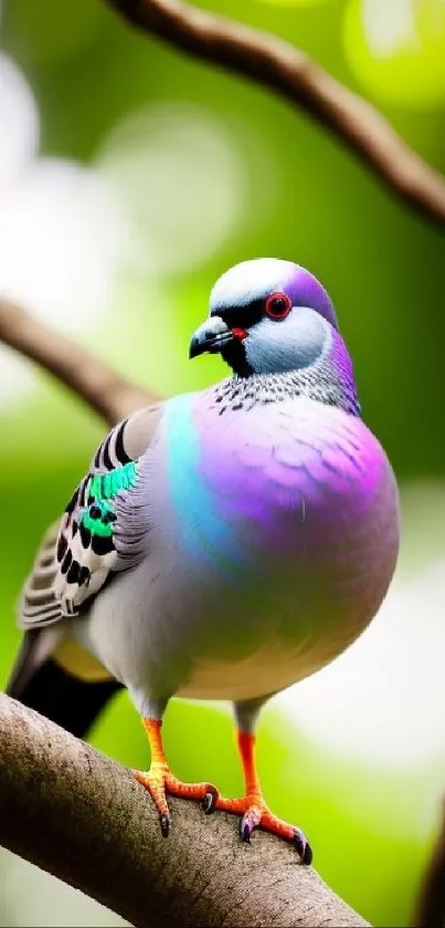 Colorful bird perched on a branch with vibrant background.