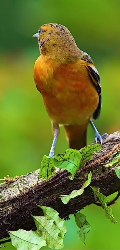 Vibrant bird perched on a tree branch with green leaves in the background.