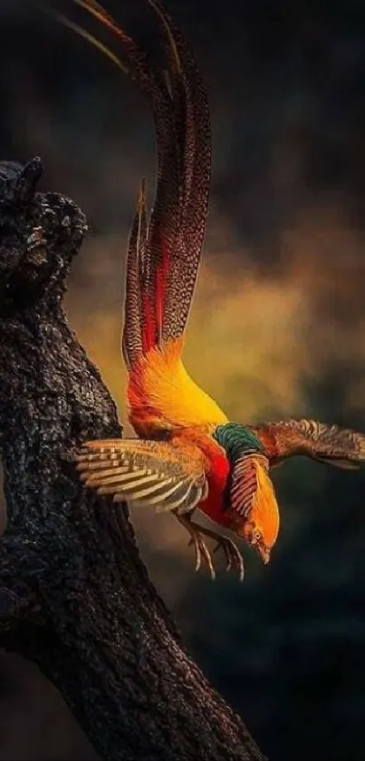 Vibrant bird perched on a tree branch with dark background.