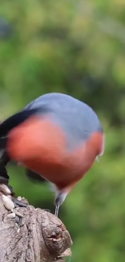 Colorful bird perched on a tree in nature.