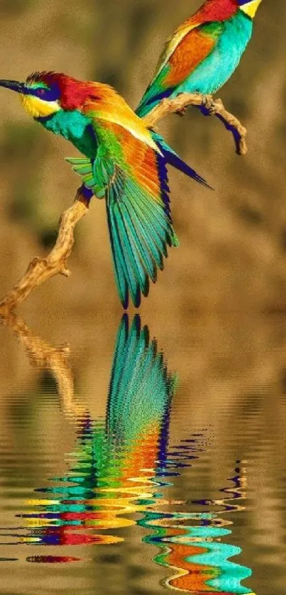 Vibrant birds with colorful feathers reflected in water, beautiful wallpaper.