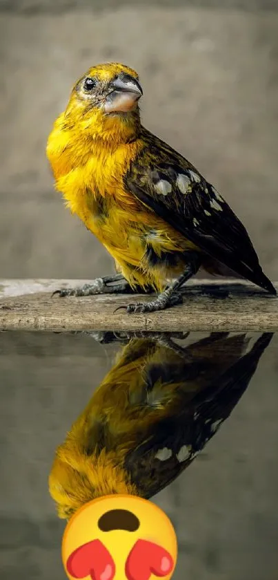 Vibrant yellow bird with reflection and distressed wall backdrop.