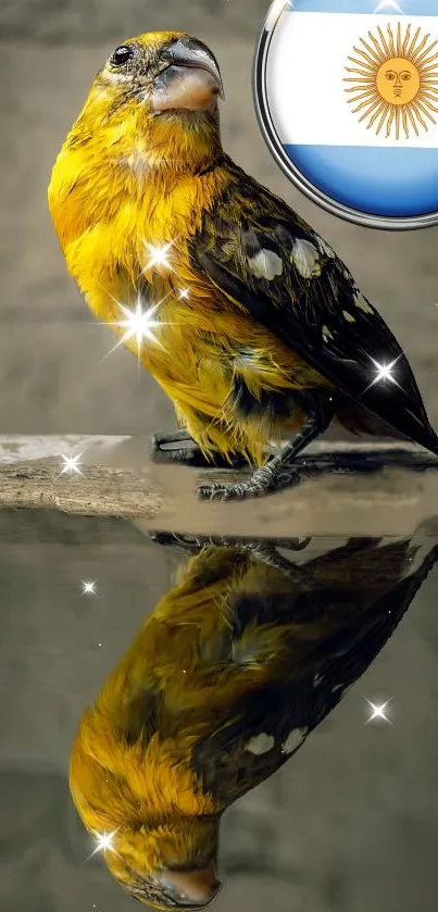 Vibrant yellow bird with reflection on stone.