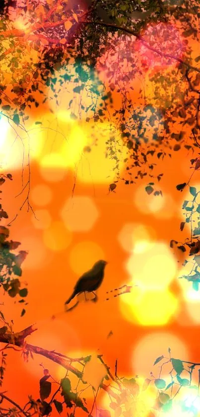 Bokeh bird wallpaper with vibrant orange and colorful light effects.